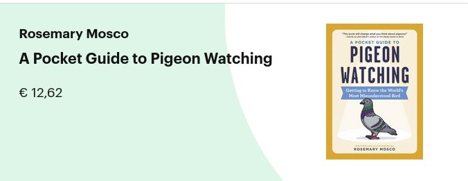 Image without description